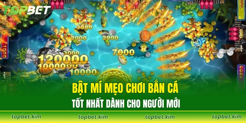 Bật mí mẹo chơi bắn cá tốt nhất dành cho người mới