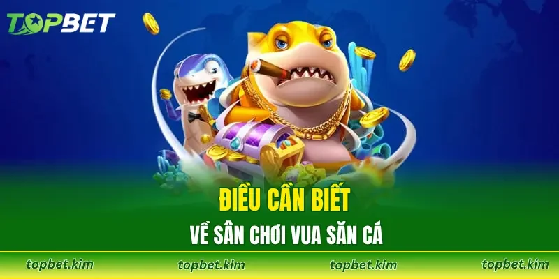 Điều cần biết về sân chơi vua cá
