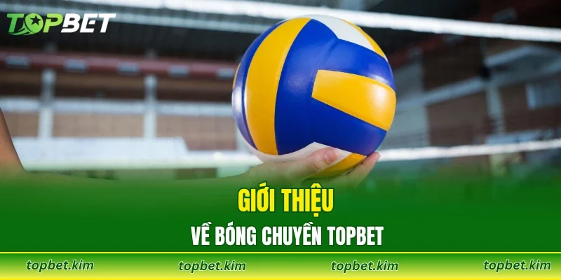Giới thiệu về bóng chuyền TOPBET