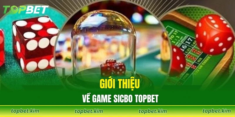Giới thiệu về game Sicbo TOPBET