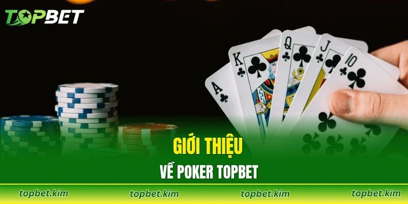 Giới thiệu về poker TOPBET