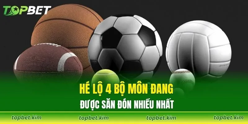 Hé lộ 4 bộ môn đang được săn đón nhiều nhất