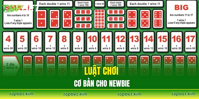 Luật chơi cơ bản cho newbie