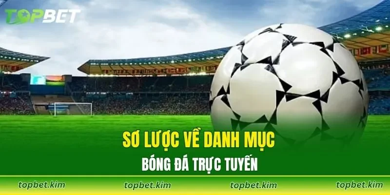 Sơ lược về danh mục bóng đá trực tuyến
