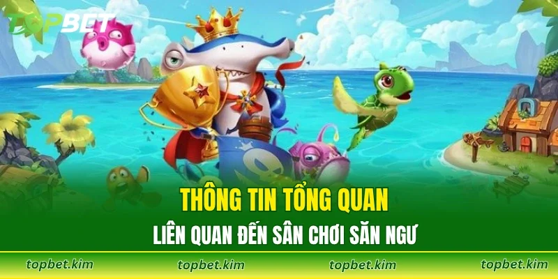 Thông tin tổng quan liên quan đến sân chơi săn ngư